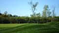 Whitetail Golf & Country Club Estates image 1