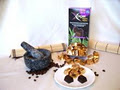 Xocai™ Healthy Chocolate, Independent Executive Distributor image 2