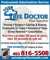 YOUR TREE DOCTOR logo