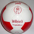 soccer team balls image 5