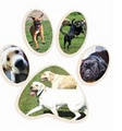 4Paws Pet Care Services logo