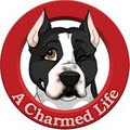 A Charmed Life Dog Services logo