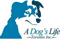 A Dog's Life Toronto Inc image 5