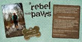 A Rebel With Paws image 1