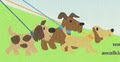 A Walk in the Park- Dog Walking and Pet Sitting image 1