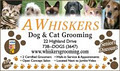 A Wiskers Dog & Cat Grooming Inc. image 2