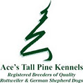 Ace's Tall Pine Kennels image 2