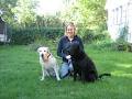 Active Paws Dog Walking & Pet Care Services image 1
