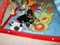Adanta Yorkshire Terriers image 2