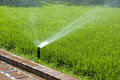 All Green Lawn Sprinklers image 3