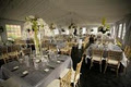 All Occasions Party Rentals Inc. image 6