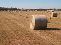 AllanHay.com Quality Hay image 3