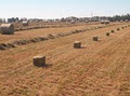 AllanHay.com Quality Hay image 4