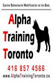 Alpha Training Toronto - A.T.T. logo