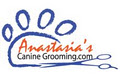 Anastasia's Canine Grooming image 5