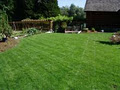 BC Instant Lawns and Landscape image 3