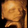 Baby in Sight image 2