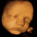 Baby in Sight image 3