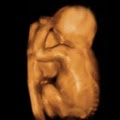 Baby in Sight image 1