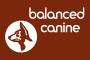 Balanced Canine image 5