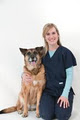 Basinview Animal Hospital image 2