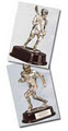 Bastion Trophies image 6