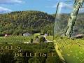 Belleisle Vineyards Inc image 1