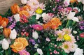 Bernard's Wholesale Florist image 3