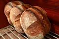 Beyond Bread Artisan Bakery image 4