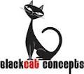 Blackcat Concepts image 4