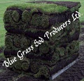 Blue Grass Sod Producers Ltd image 4