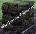 Blue Grass Sod Producers Ltd image 4