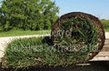 Blue Grass Sod Producers Ltd image 5