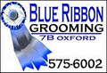 Blue Ribbon Grooming Salon logo