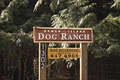 Bowen Island Dog Ranch logo