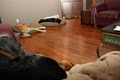 Calgary Canine Care/DogSitting image 5