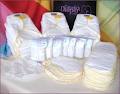 Canada's Diaper Ladies - Cloth Diapers Winnipeg logo