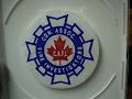 Canadian Assoc Of Fire Investigators logo