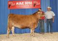 Canadian Limousin Association image 4