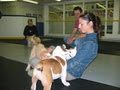 Canine Campus Training Centre image 2