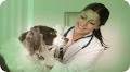 Central Animal Emergency Clinic Coquitlam image 3
