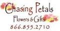 Chasing Petals Flowers image 4