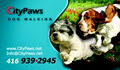 CityPaws image 1