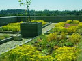 CitySoil Lightweight Soil for Green Roofs image 5