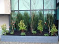 CitySoil Lightweight Soil for Green Roofs logo