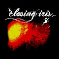 Closing Iris - Live Music Vancouver image 2