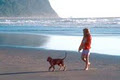 Coast Canines image 1