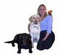 Confident Canines Companion Training image 3