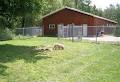 Country Estate Kennels image 4