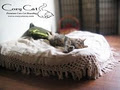Cozy Cat -- Cat Life at Its Best! image 2